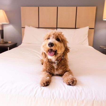 Sonesta Simply Suites Columbus Airport Gahanna Екстер'єр фото