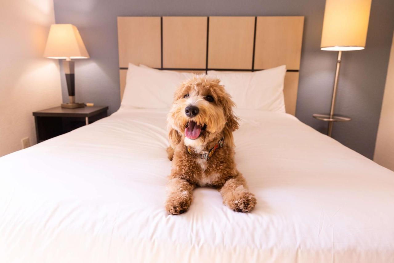 Sonesta Simply Suites Columbus Airport Gahanna Екстер'єр фото